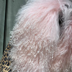 STEPPE Fur Leather Jacket-Jacket-SAINT CHIC-S-Pink-SAINT CHIC